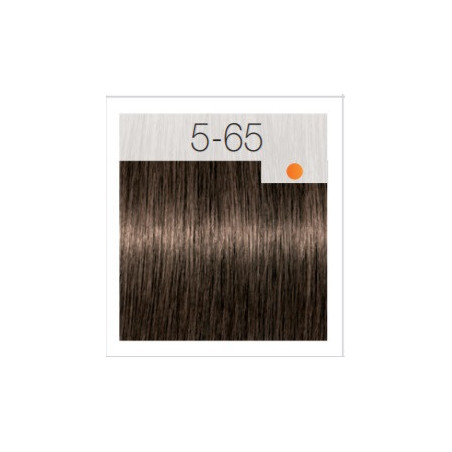 - SCHWARZKOPF - Tinte Igora Royal 5/65 Castaño Claro Marrón Dorado 60 ml