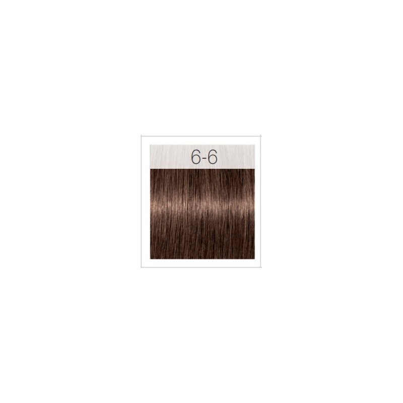 - SCHWARZKOPF - Tinte Igora Royal 6/6 Rubio Oscuro Marrón 60 ml
