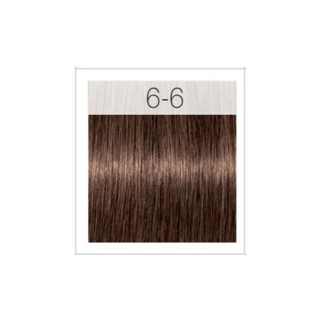 - SCHWARZKOPF - Tinte Igora Royal 6/6 Rubio Oscuro Marrón 60 ml