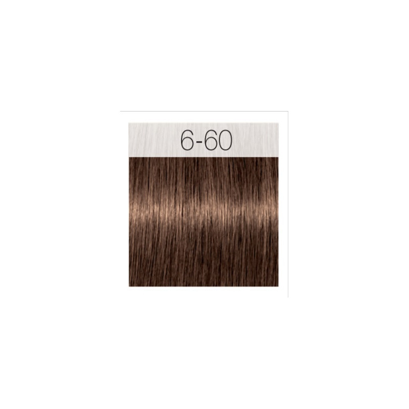 - SCHWARZKOPF - Tinte Igora Royal Absolutes 6/60 Rubio Oscuro Chocolate Natural 60 ml