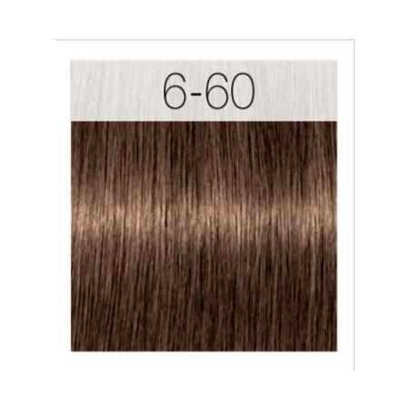 - SCHWARZKOPF - Tinte Igora Royal Absolutes 6/60 Rubio Oscuro Chocolate Natural 60 ml