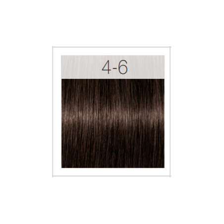 - SCHWARZKOPF - Tinte Igora Royal 4/6 Castaño Medio Marrón 60 ml