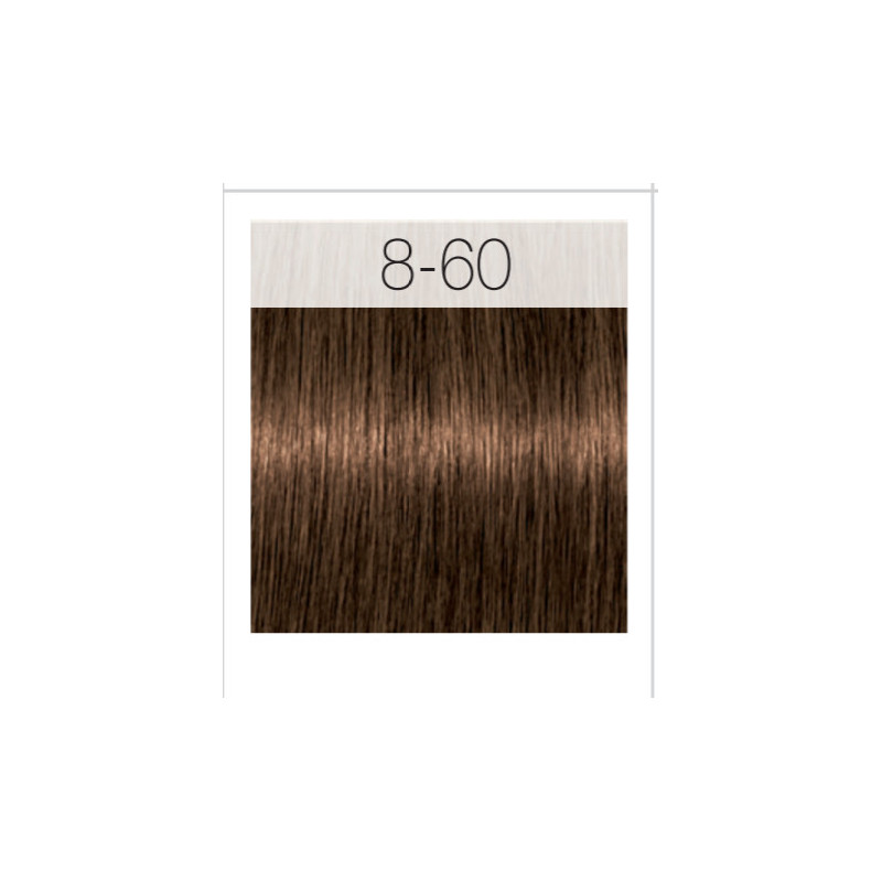 - SCHWARZKOPF - Tinte Igora Royal Absolutes 8/60 Rubio Claro Chocolate Natural 60 ml