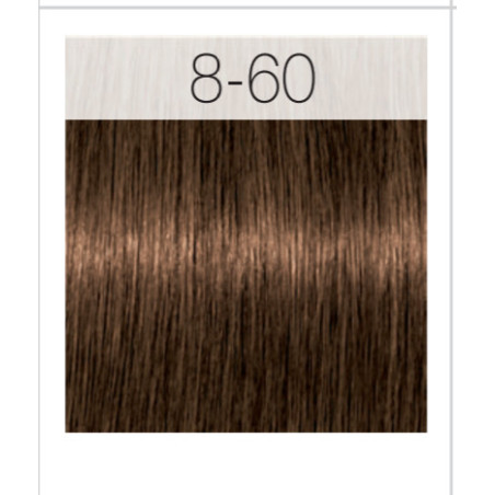 - SCHWARZKOPF - Tinte Igora Royal Absolutes 8/60 Rubio Claro Chocolate Natural 60 ml